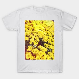 Yellow Daisy T-Shirt